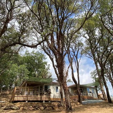 Les Chalets Des Iles Borgo  Exterior foto